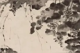 看徐渭画中的“碎碎念”图片