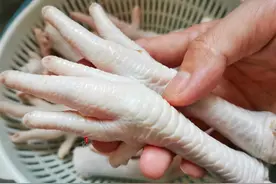 市场上源源不断的鸡爪从哪来的？吃得安不安全？看完明白了图片
