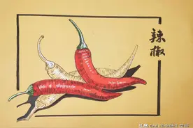 超简单的写生辣椒教程 写生也不是那么难图片