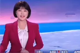 央视主持人胡蝶二胎产后复出，身材发福太虚弱，网友：眼神好奇怪图片