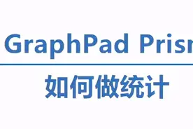 GraphPad Prism如何做统计图片