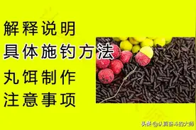 大鱼难钓？试试欧鲤钓，用科学的方法垂钓大鱼才更简单图片