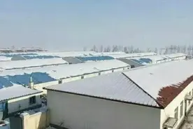 秋冬季节养猪，这3种猪病最常见，本文教你轻松搞定图片