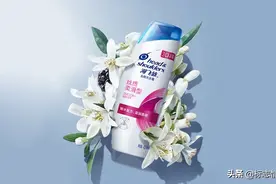 海飞丝新LOGO长翅膀了！图片