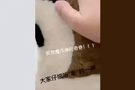 上海“迪士尼人偶”又被打了，一天两次上热搜图片