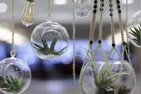 男人爱你，才会这样和你聊天图片