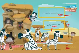 会翻跟头的思维力游戏绘本：法国童书品牌NO.1图片