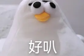 你礼貌吗？图片