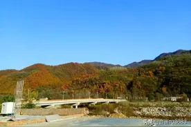 行走黄柏塬，遇见醉美金秋图片