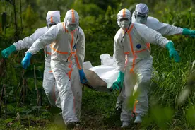 世界不再安宁！新冠病毒未退，埃博拉又卷土重来致死率更高图片