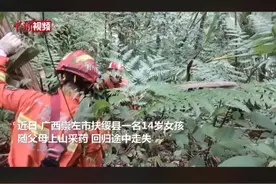 广西14岁女孩上山采药失联三天后被找到图片