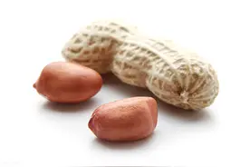 高血压的人能吃花生吗？听听医生的说法图片