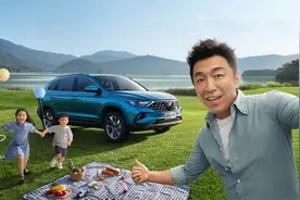河南一辆捷达走红，只因车牌“SB110”图片