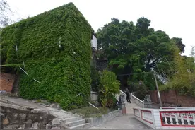 【泉港好】青狮古洞真稀奇 坝头溪畔朝天立图片