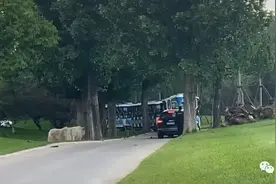真悬！北京野生动物园有游客擅自下车，逼停小火车图片