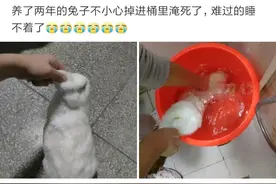 神评爆笑合集：男生宿舍大都比女生宿舍和谐，这是为什么？图片