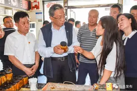 刘志杰在临县调研图片