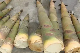 “嘌呤食谱”有变动？4种含高嘌呤的食物，尿酸高的人要尽量少吃图片