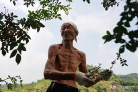 山西农村8旬大爷满身腱子肉堪比运动员，想参加健美比赛，咋回事图片