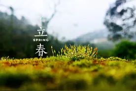 春暖花开，百花齐放图片