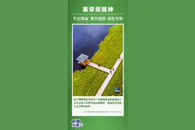 什么是塞罕坝精神？图片