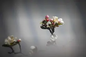 缘分已尽，纵有万千喜爱，也只是曾经图片