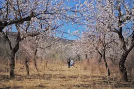 清明踏青，不负春光不负卿图片