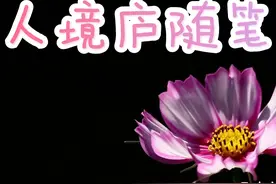 由李商隐的咏史诗谈谈文人和政治家的区别图片