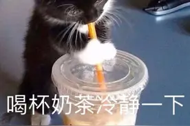 表情包：喝杯奶茶冷静一下图片