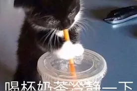 表情包：喝杯奶茶冷静一下图片