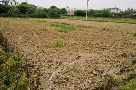 进城、结婚、离婚后土地要收回？国家发文了，将会这样处理图片