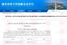 武穴城东新区又现一座3.3万方大三角绿地公园？图片