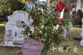 今日起，十堰人民公园逐步开园，开放时间公布图片