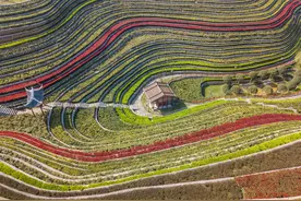 贵州大方：春到古镇景如画图片