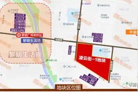 沈阳土拍，一箭三雕图片