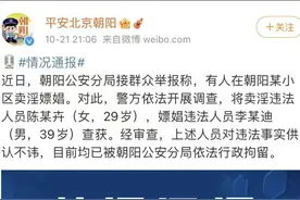 京城四大神秘组织：朝阳大妈、海淀网友、西城大妈、丰台劝导队图片