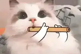 【搞笑】004乐不可支图片