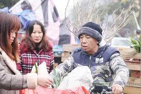 16岁涉毒4入监狱，社会大哥出狱后改行卖花成劳模，却遭现世报视频封面