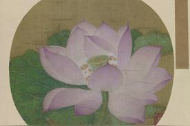 分享我20年的工笔白描经验，希望能帮助初学者进步更快图片