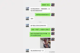 河南老乡们，这句话真的有那么伤人吗图片
