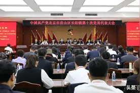组工动态丨长阳镇第十次党员代表大会胜利召开图片