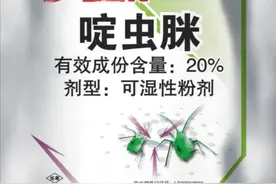 啶虫脒不一样的杀虫机理，对有机磷、拟虫菊酯类有抗性害虫试试它图片