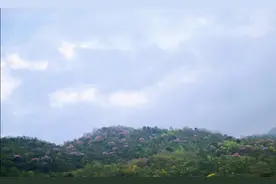 我和外婆的故事图片