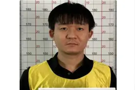 知名开发商之子成涉黑嫌犯：其父开发的益力檀宫，曾被誉为“安徽第一楼盘”图片