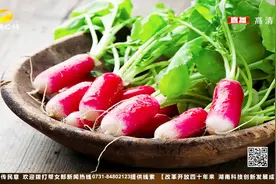 冬天到了，该吃萝卜了：萝卜低热低蛋白，生吃凉拌最适宜！视频封面
