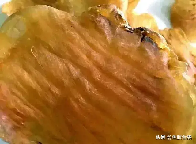 台山赤嘴鱼胶和湛江赤嘴鱼胶 2026年台山赤嘴鳘鱼胶
