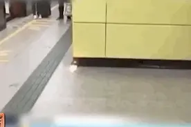 用充电宝充电，会损害手机吗？真相在此图片