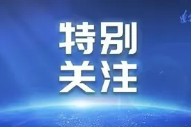 泪目！主人去世5年，“忠犬大黄”跑遍沈城寻主图片