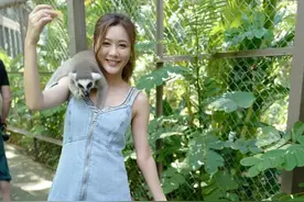 大解放！TVB人气女神节目晒性感：游览动物园惨遭猴子“咸猪手”图片