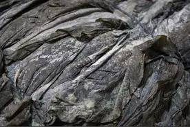 有毒不能吃？海带表面上那层白霜，多少人每次傻乎乎用水冲掉图片